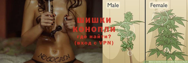 spice Вязники
