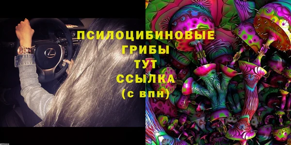 spice Вязники