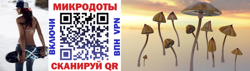 Галлюциногенные грибы ЛСД  Купить закладки  Великий Устюг 